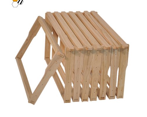 WhatsApp Image 2022-05-10 at 11.12.20 AM (2)